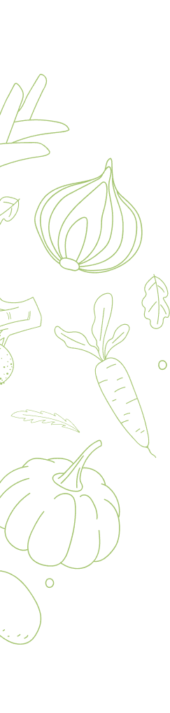 Illustration de légumes