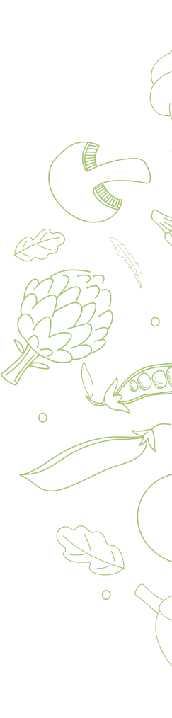 Illustration de légumes